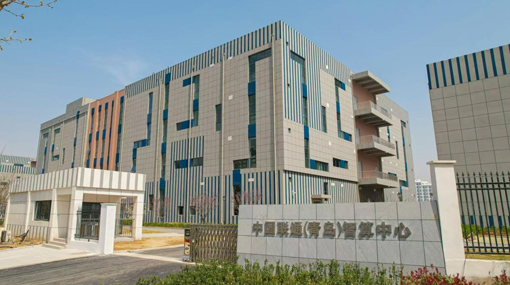 �й���ͨ����������Ļ�����2025��ȹ�����ɫ������ʩ��