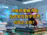 ����Ȥ̸����ʮ���ڣ�AI���̹�Ӭ���ԣ���ѧ�����������紴����������