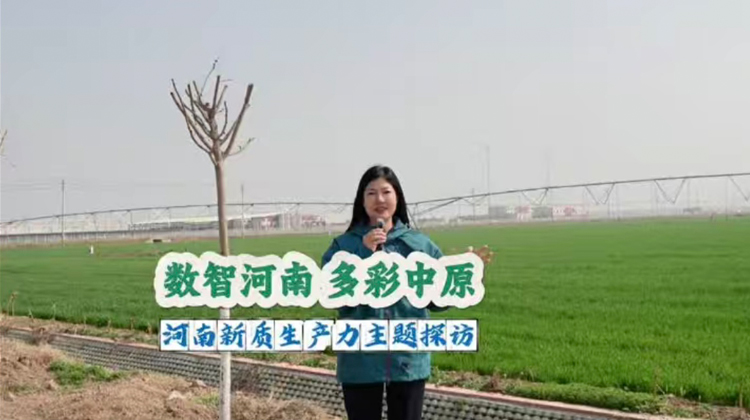 �����Ǻ��� �����ԭ��������������������̽��