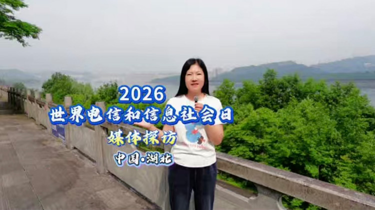 2026������ź���Ϣ�����ý��̽��