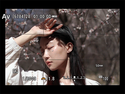 ۲Խ.gif
