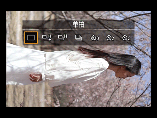 .gif