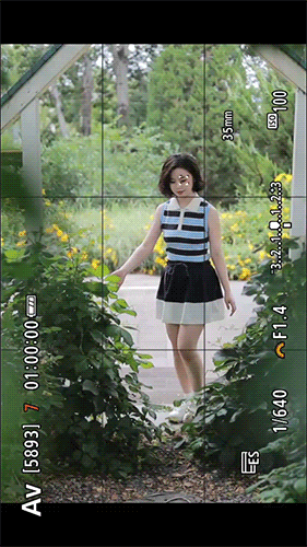 1751948971488614.gif 眼部追焦.gif